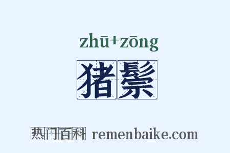 猪鬃是什么意思的图片